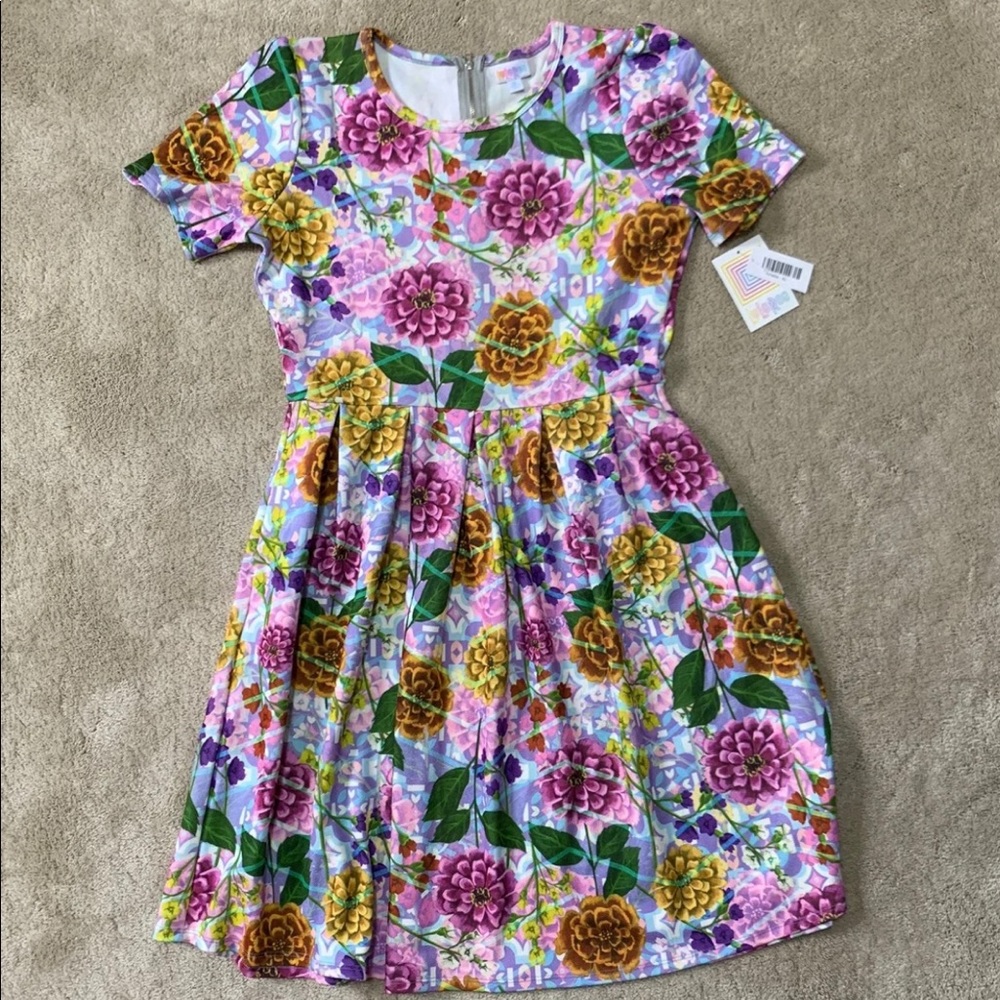 Beautiful & unique NWT XL Lularoe Amelia dress